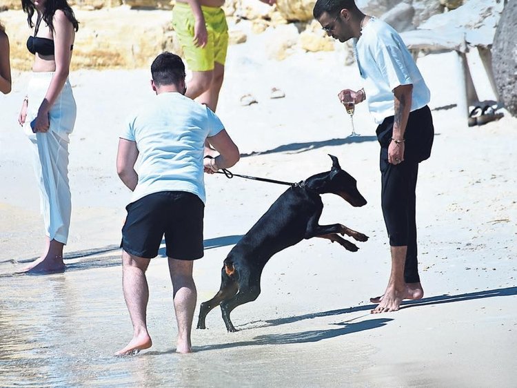 Çeşme’de ‘pet’li tatil sezonu