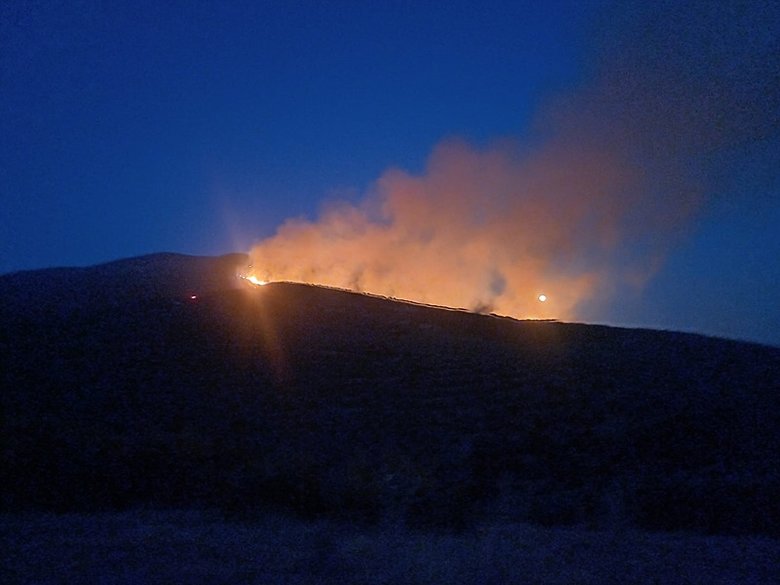 Son dakika: Manisa’daki orman yangını kontrol altında