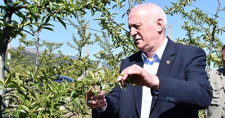 TZOB Genel Başkanı Bayraktar, İzmir’de zirai dondan etkilenen bahçeleri inceledi