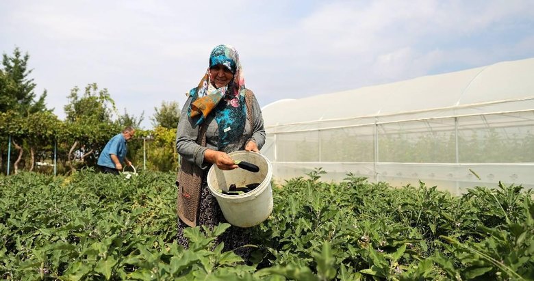 TARSİM’den çiftçilerin maliyetine destek