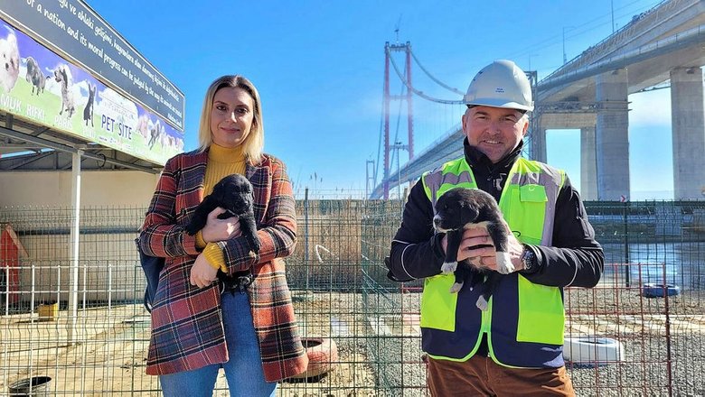 Hayvan dostu köprü! 1915 Çanakkale Köprüsü’ne can dostlar için barınak