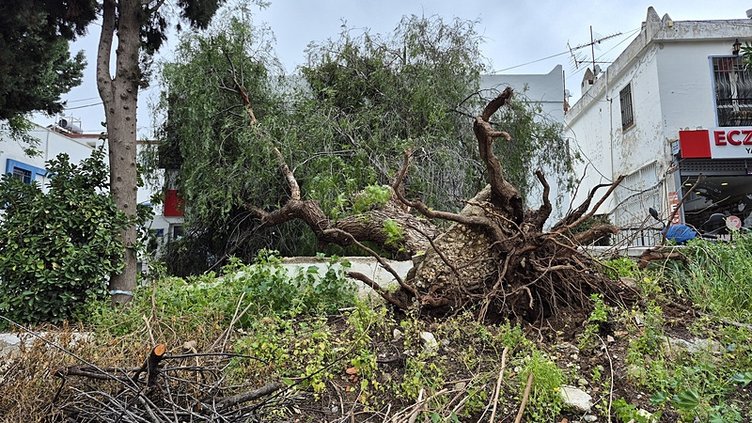 Bodrum’u fırtına vurdu! Feribot seferleri iptal