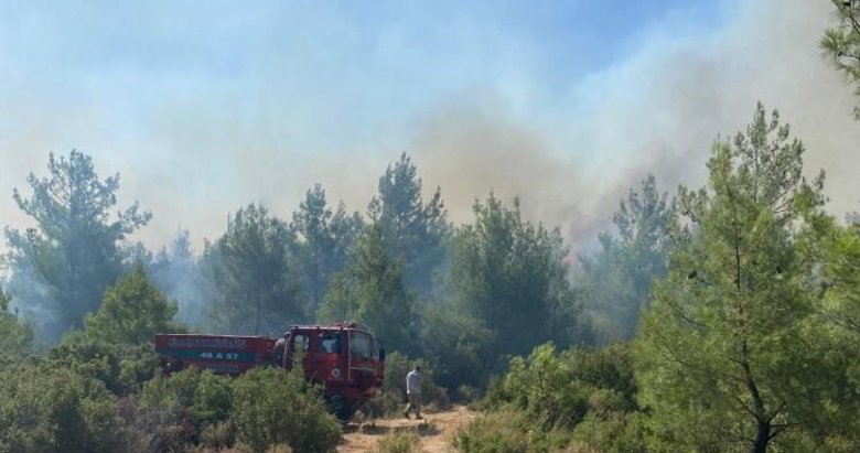 Muğla’da orman yangını