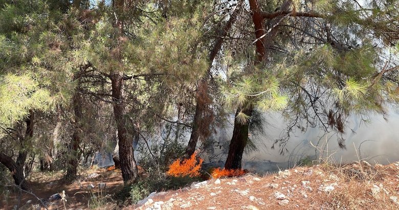 Manisa’daki orman yangını kontrol altında
