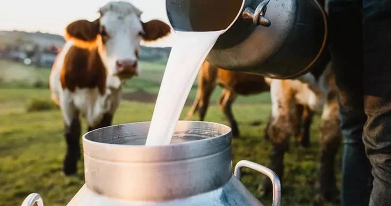 Çiğ süt destek ödemeleri başladı! Toplam 55 milyon 116 bin 376 TL ödeme yapılacak