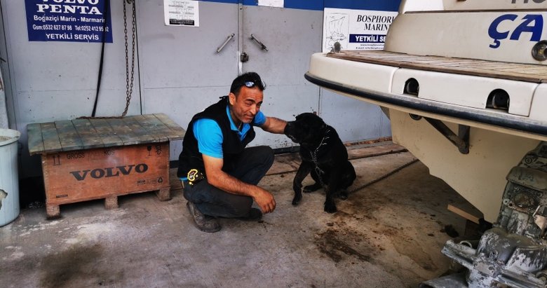 pitbull tarafindan saldiriya ugrayan