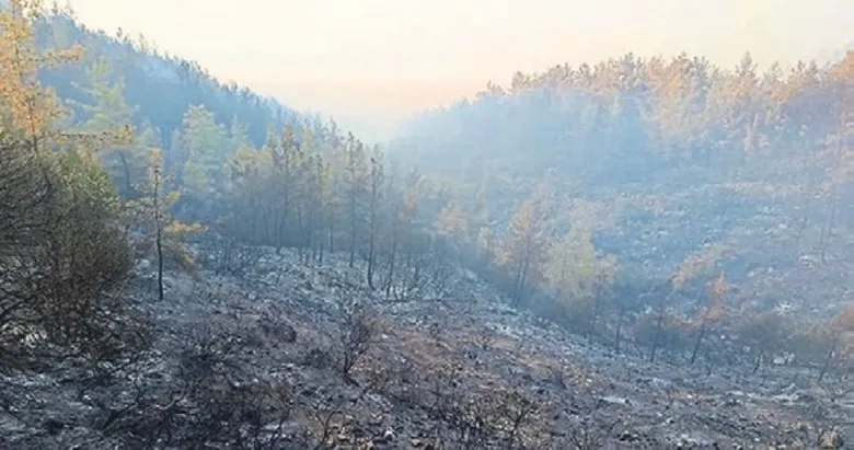 Antalya yangınında 1 kişi hayatını kaybetti