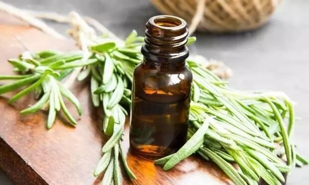 Sivrisinekler artık size yaklaşamayacak! Bu doğal yöntemleri deneyin