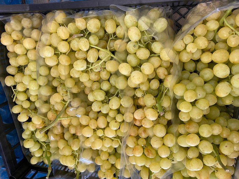 Ege’de taze üzüm ihracatı 158 milyon doları geçti