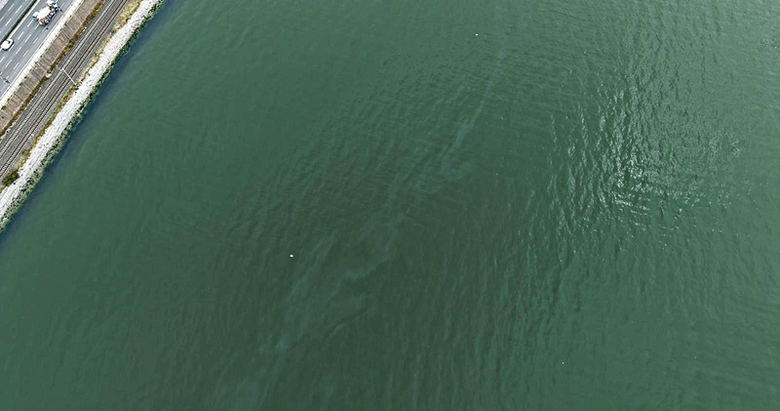 İzmir Körfezi’nde kirlilik yeniden su yüzüne çıktı!