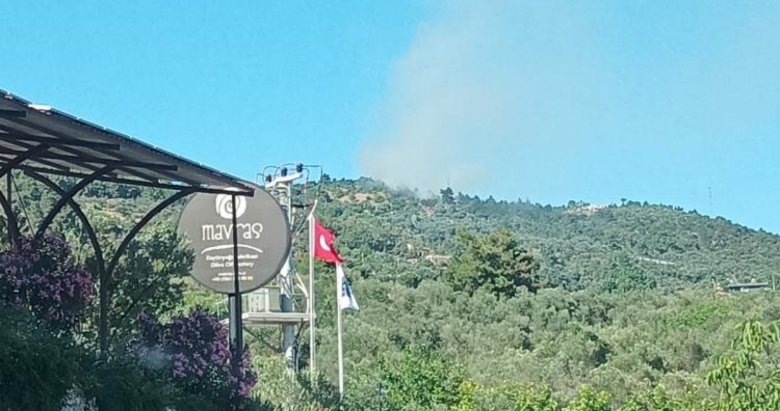 Ayvacık’ta orman yangını... Havadan karadan müdahale sürüyor
