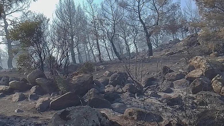 Manisa’da yangın büyüyor! Bir mahalle tahliye edildi