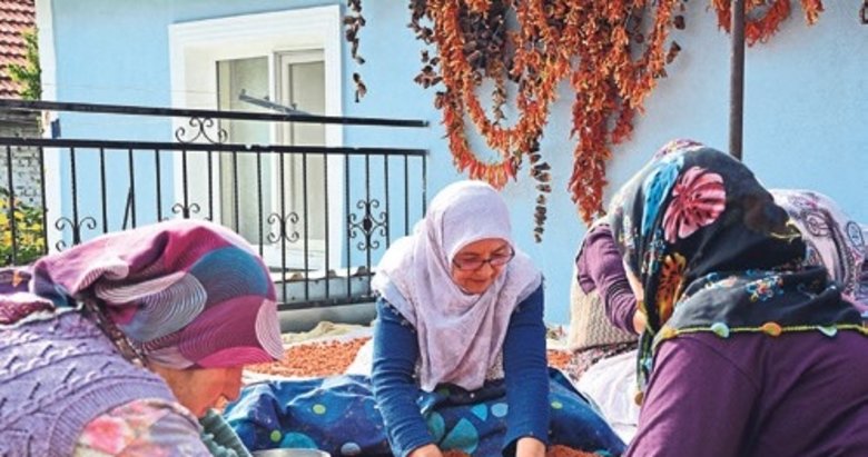 Demirci’nin tarhanası şifa dağıtıyor