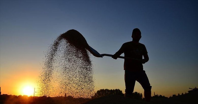 Denizlili çiftçilere 130 milyon destek