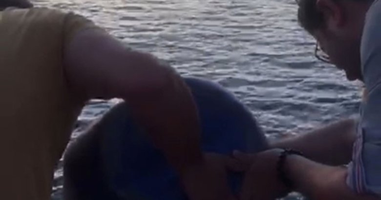 Kilosu altın değerinde olan deniz patlıcanını avlarken yakalandılar