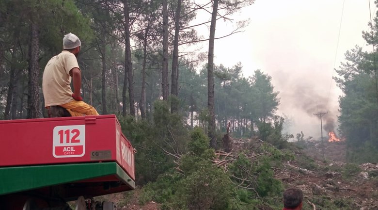 Başındaki 6 dikişle dinlenmeye değil ormana gitti!