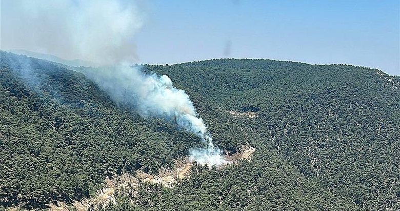 Son dakika: Manisa’da orman yangını