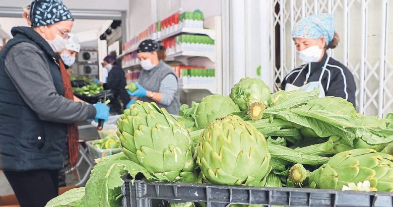 Urla Nin Sakiz Enginari Internetten Satiliyor Gundem Haberleri