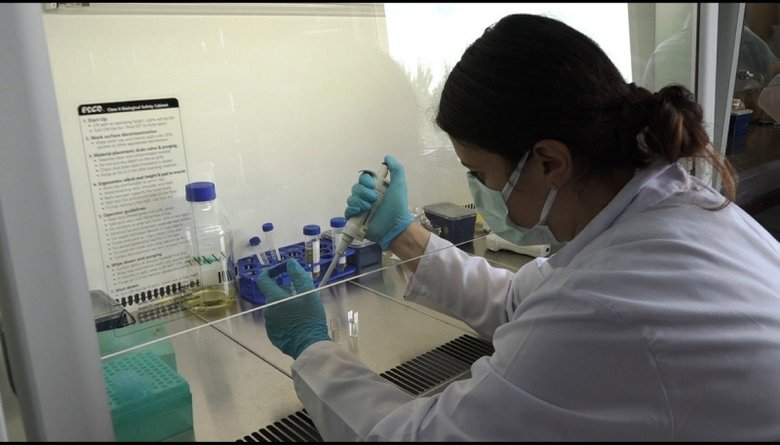 Yerli VLP aşısı mutasyonlara karşı etkili mi?