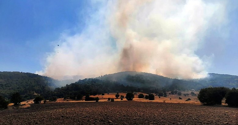 Afyonkarahisar’da orman yangını sürüyor