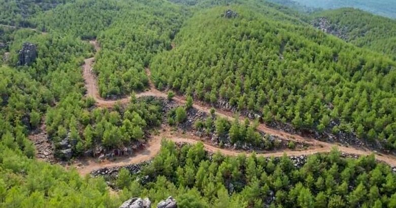 7 milyon hektarda yeşeren umut