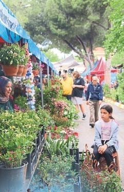 Çiçeğin görsel şovuna davetlisiniz