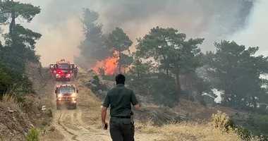 Balıkesir’de orman yangını kontrol altında!