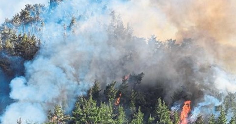Menderes’teki orman yangını sürüyor