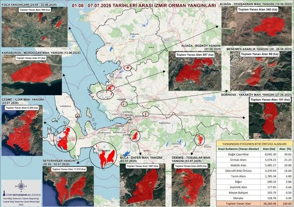 Yangınların acı raporu: Buca’nın iki katı kadar alan yandı