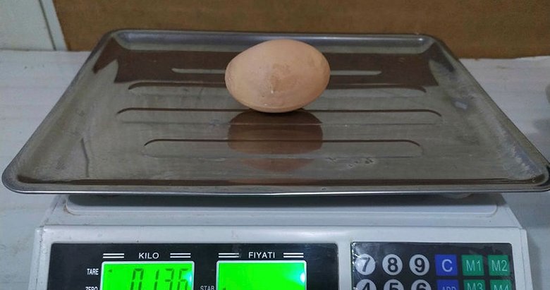 Denizli’de 136 gramlık dev tavuk yumurtası ilgi odağı oldu