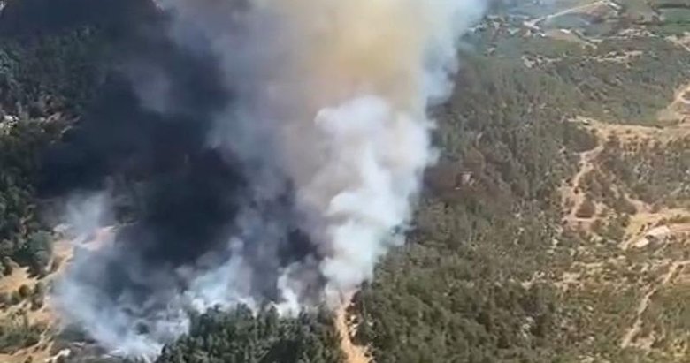 Ödemiş’te orman yangını! Ekipleri alarma geçirdi
