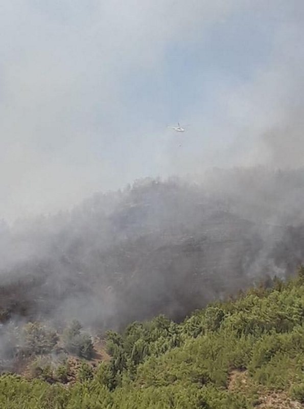 Fethiye’de ormanlık alanda yangın çıktı