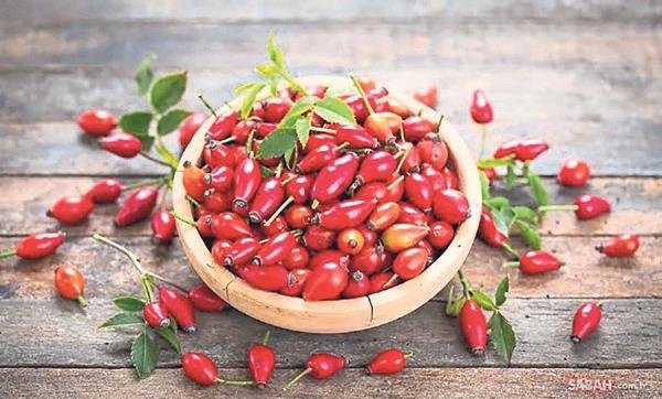 Yüzlerce yılın şifa kaynağı bitki çayları