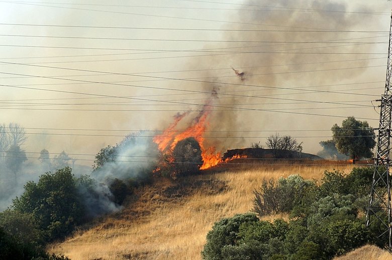 Aydın’da ormana sıçrayan yangına havadan da müdahale ediliyor