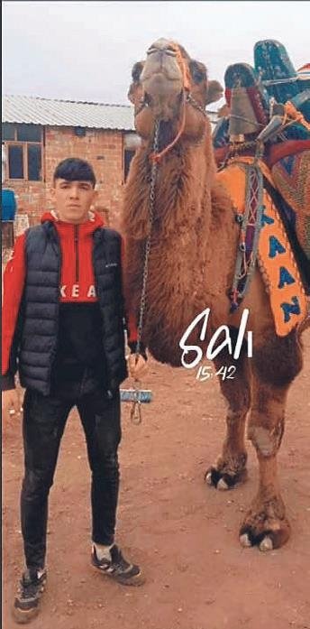 Devecilerin kavgasında kan aktı