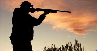 Bakım ve tedavileri yapılan 14 kuş halkalanarak doğaya salındı