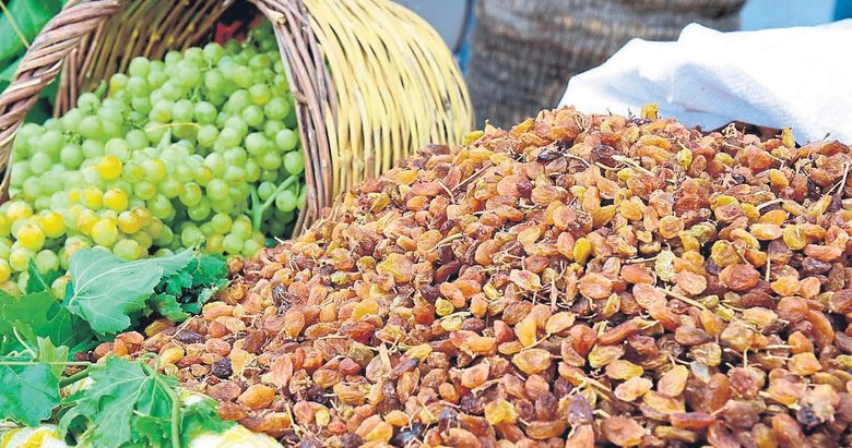 Manisa’dan dünyaya rekor kuru üzüm ihracatı