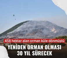 İzmir’de 458 hektar alan orman küle dönmüştü! Yeniden orman olması 30 yıl sürecek