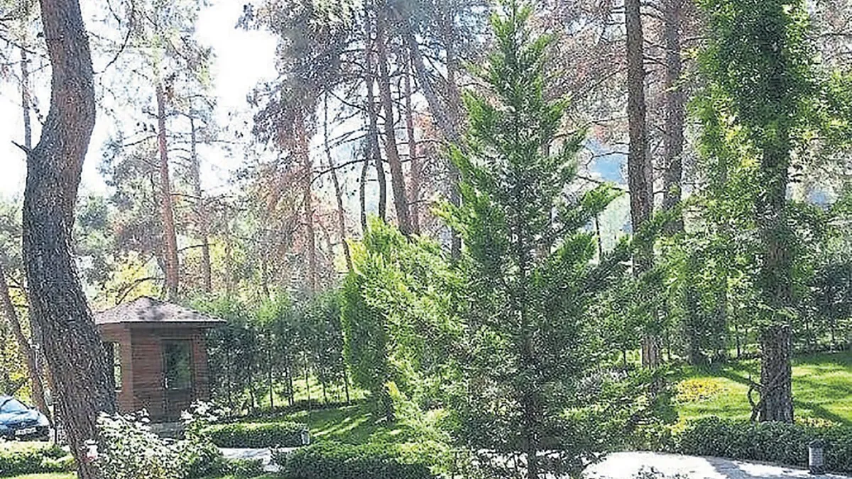 Çavuşoğlu’ndan baskı siyaseti