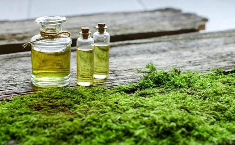 Yosun yağı nerelerde kullanılır? Ne işe yarar?