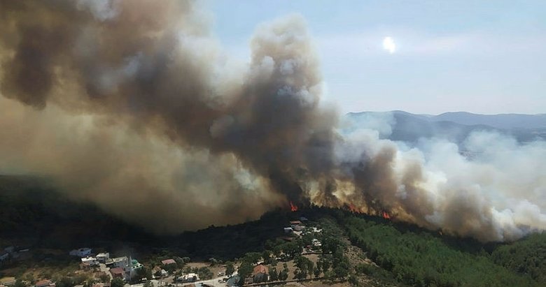 Muğla’daki orman yangını kontrol altına alındı