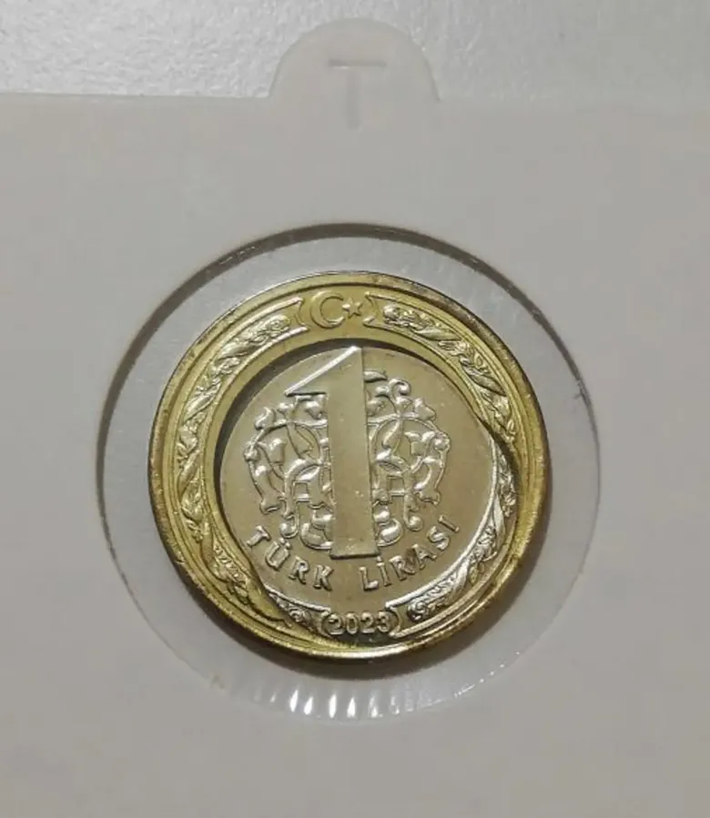 cebinizde-1-tl-varsa-sakin-harcamayin-bozuk-parada-hazine-avi-binlerce-lira-oduyorlar-1787659450014.png
