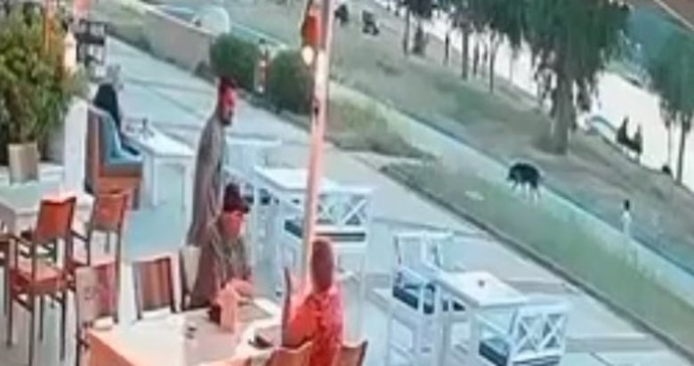 Didim’de sokak köpeği çocuğa saldırdı