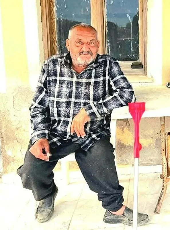 izmirde-aci-olum-kanepede-uyurken-ayi-saldirdi-1783158674142.jpg