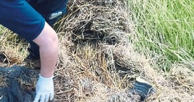 Çanakkaleli Efe’nin feci sonu