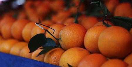 Portakal çekirdeğini sakın çöpe atmayın! Öyle bir...