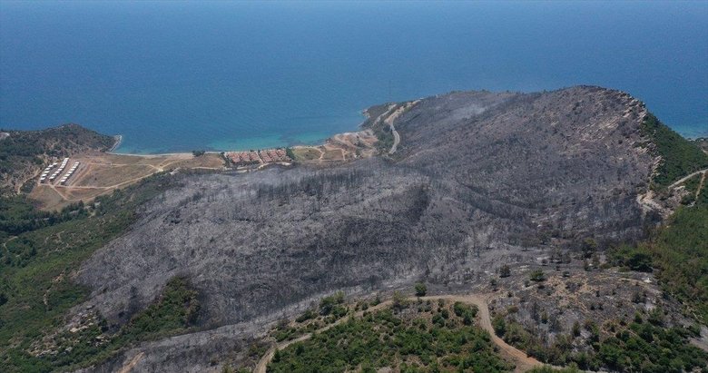 İzmir Menderes’teki orman yangınından geriye kalanlar yürekleri yaktı