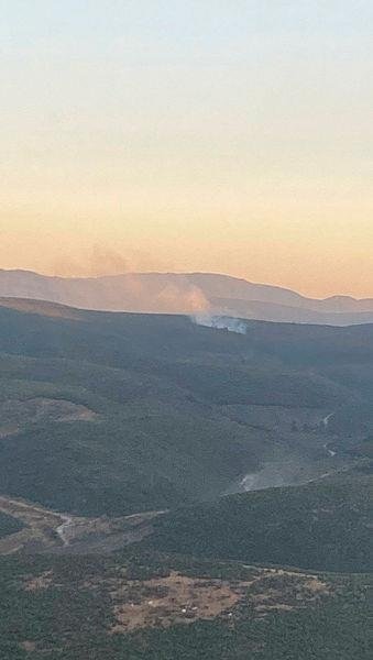 İzmir’de orman yangını! Hızlı müdahale ile kontrol altında