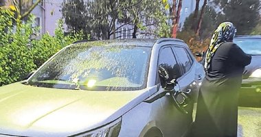 Avukat komşu kabusu