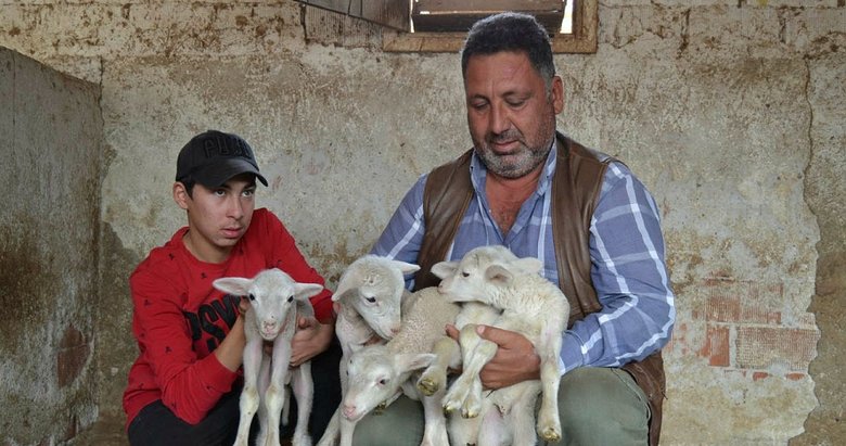 Koronavirüse dikkat çekmek istedi! Kuzularına öyle bir isim verdi ki...